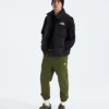 Męskie spodnie dresowe Evolution Simple Dome Regular