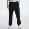 Męskie spodnie dresowe Wander Joggers 2.0
