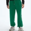 Męskie spodnie TNF™ Essential Simple Dome Relaxed Męskie spodnie TNF™ Essential Simple Dome Relaxed