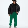 Męskie spodnie TNF™ Essential Simple Dome Relaxed Męskie spodnie TNF™ Essential Simple Dome Relaxed