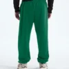 Męskie spodnie TNF™ Essential Simple Dome Relaxed Męskie spodnie TNF™ Essential Simple Dome Relaxed