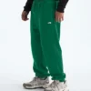 Męskie spodnie TNF™ Essential Simple Dome Relaxed Męskie spodnie TNF™ Essential Simple Dome Relaxed