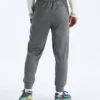 Męskie spodnie TNF™ Performance Fleece SW Męskie spodnie TNF™ Performance Fleece SW