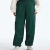 Męskie spodnie TNF™ Red Box Packable Wind Pants
