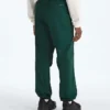 Męskie spodnie TNF™ Red Box Packable Wind Pants